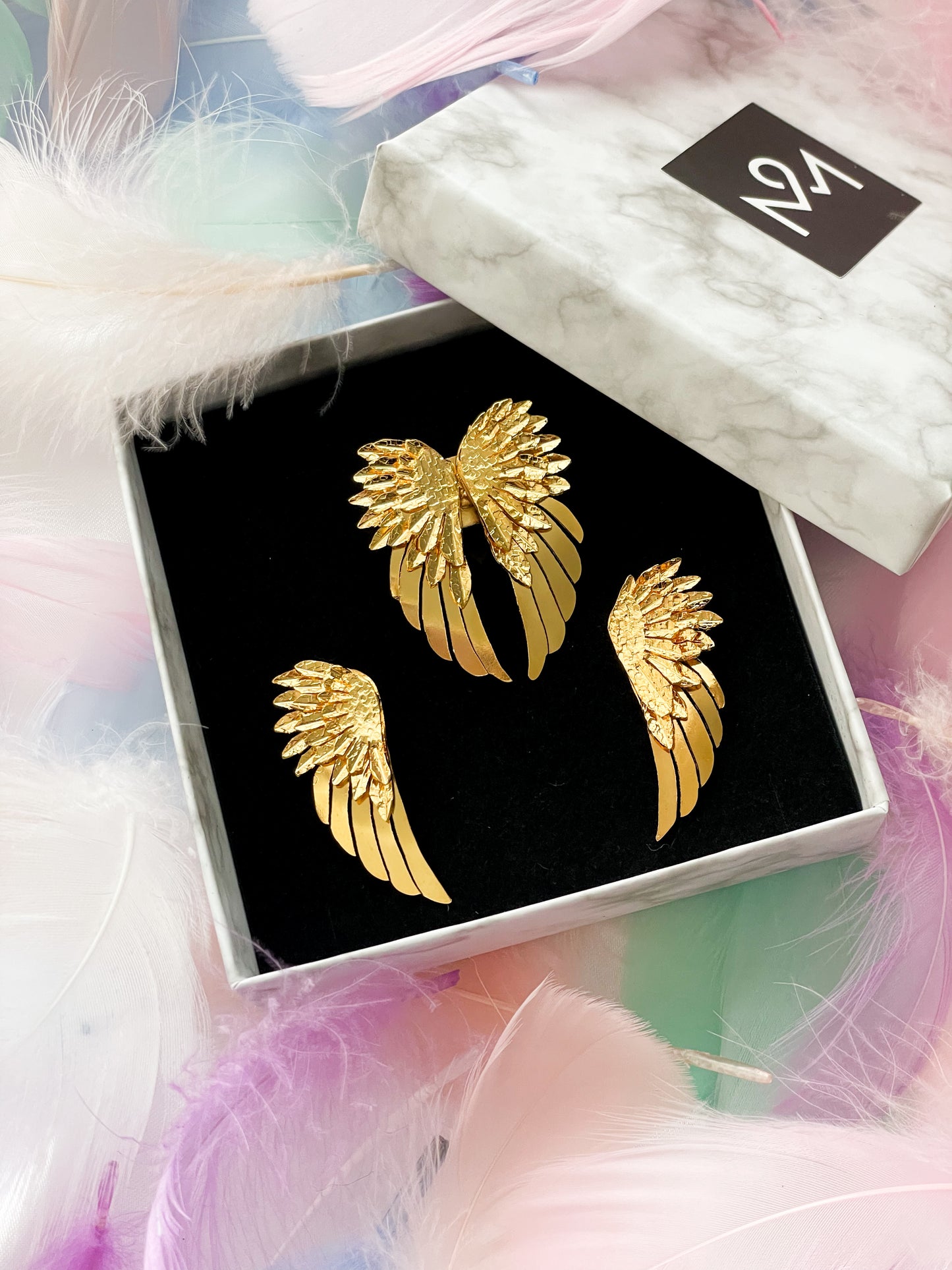 Angel Wings Set