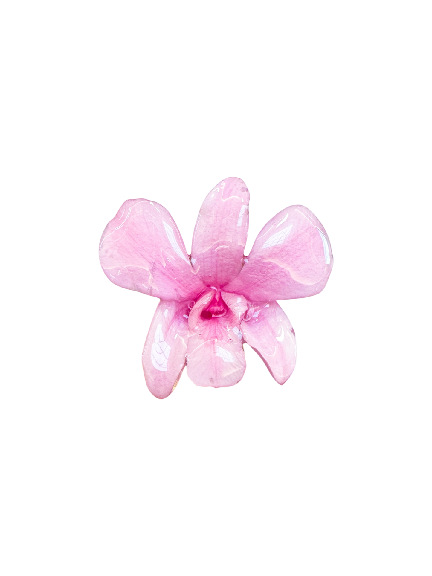 Tropicoqueta Hair clip