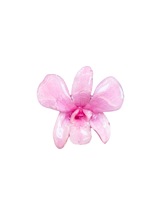 Tropicoqueta Hair clip