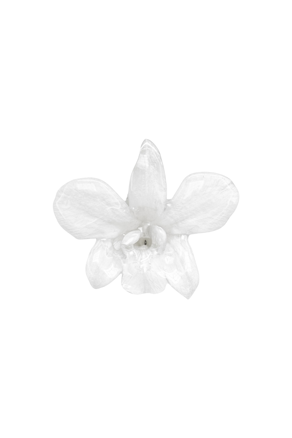 Tropicoqueta Hair clip