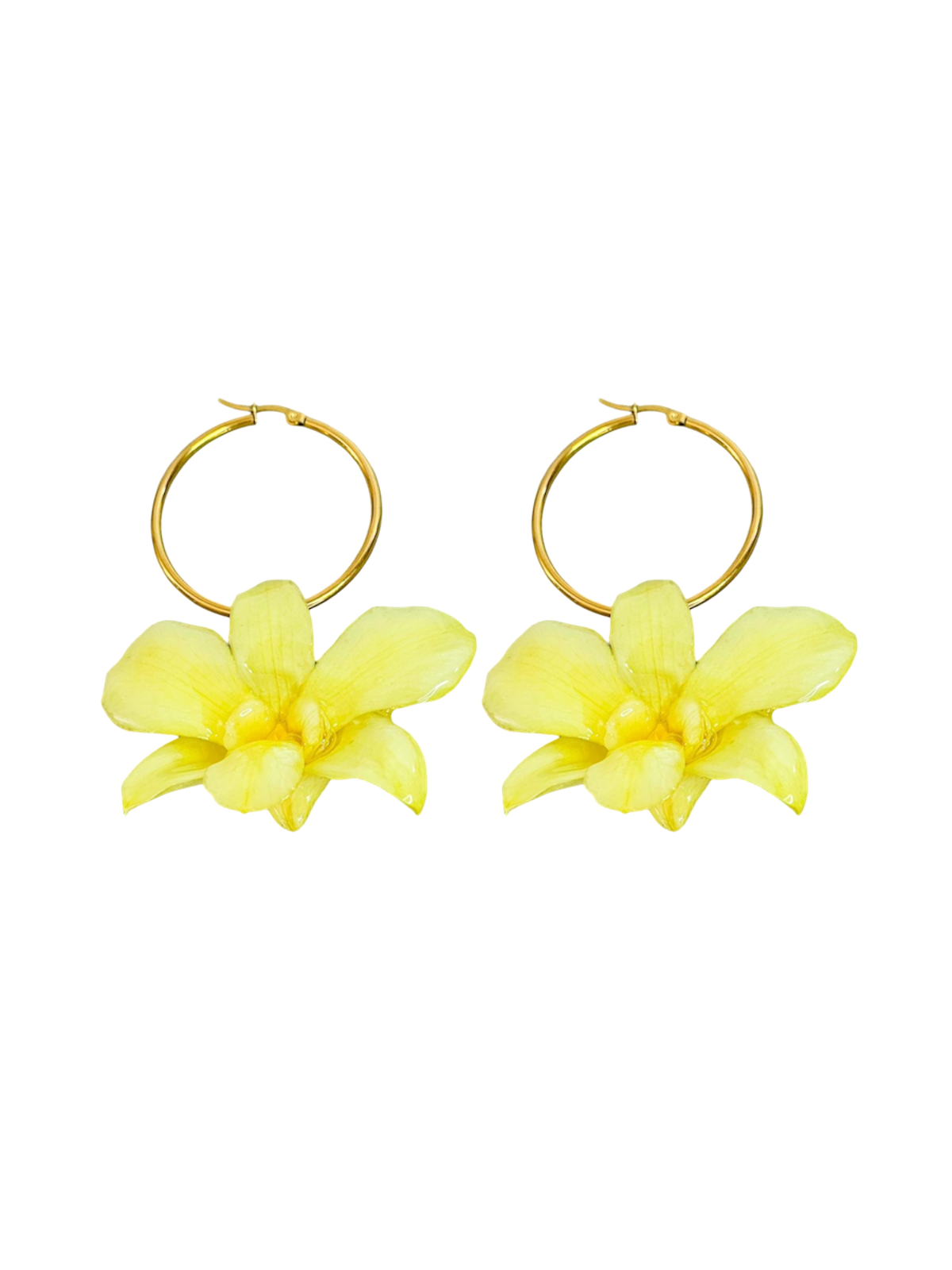 Tropicoqueta Earrings