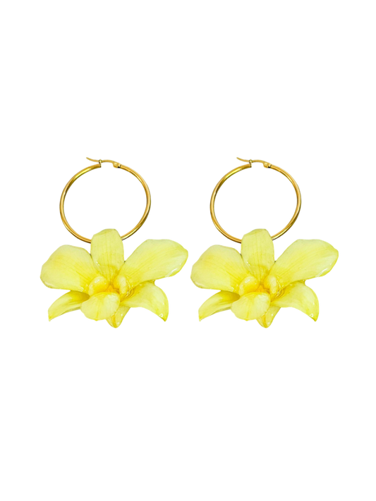 Tropicoqueta Earrings